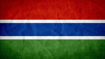 Gambia Flag Wallpaper скриншот 3