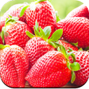 Fruit Wallpaper APK