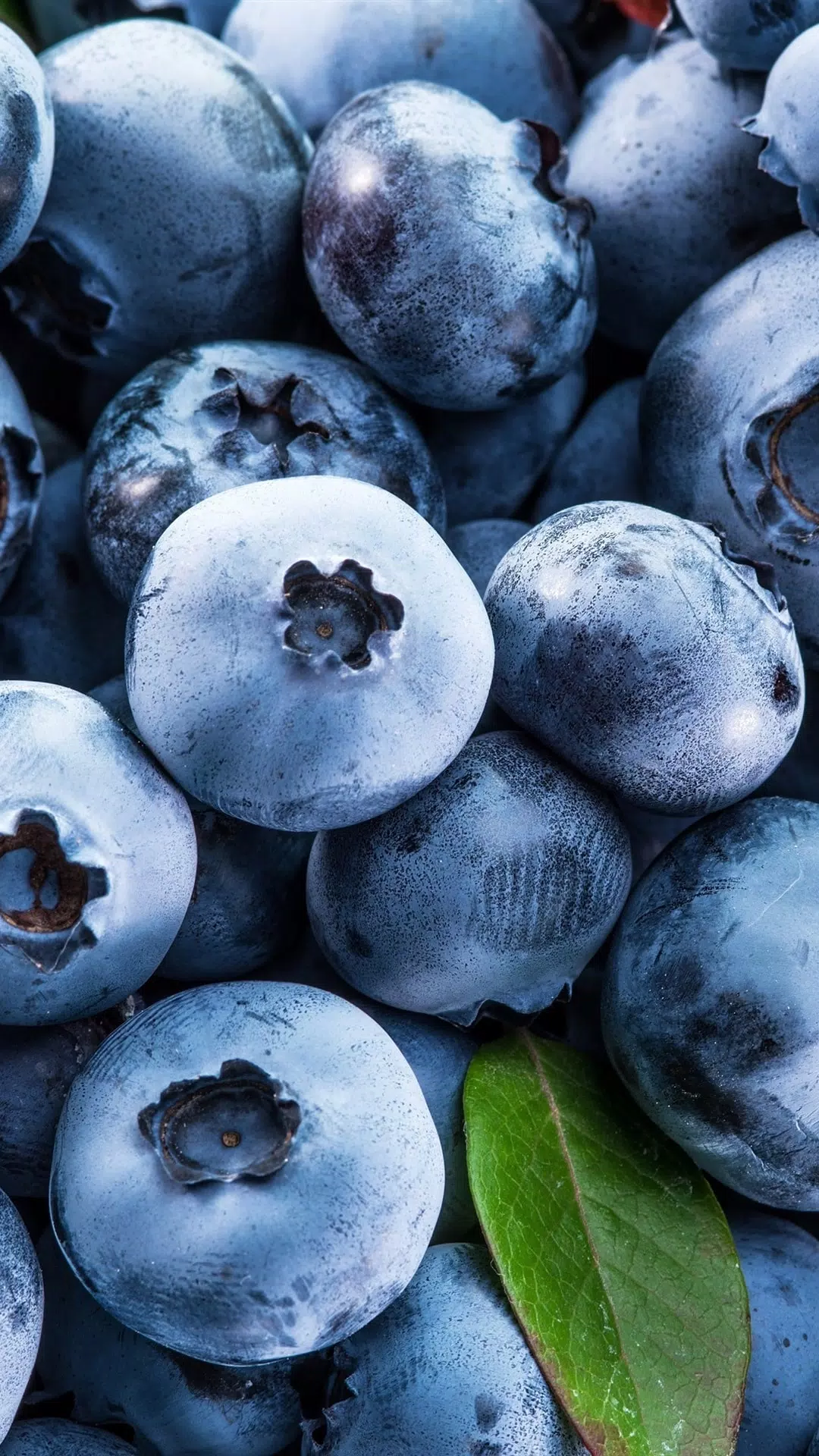 Fruit Wallpaper APK for Android Download Fruit Wallpaper APK for Android Download