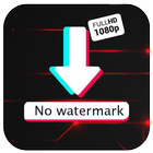 Tik Downloader No Watermark icône