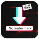 Tik Downloader No Watermark APK
