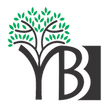 Youth Break the Boundaries (YB