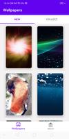 Lastest Wallpapers For Find X پوسٹر