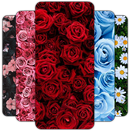 Flower Wallpaper HD – 4k APK