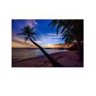 Nature & Landscape HD Wallpaper(4K) icône