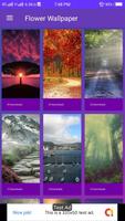 Nature & Landscape HD Wallpaper(4K) screenshot 2