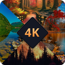 Temas de papel de parede 3D APK