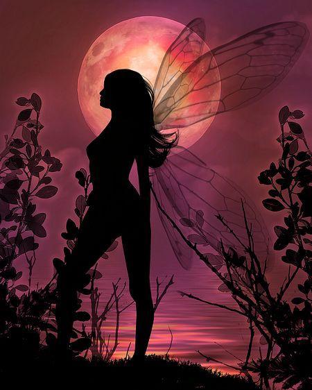 ดาวน์โหลด Fairy 3D Wallpapers for Girls APK สำหรับ Android ดาวน์โหลด Fairy 3D Wallpapers for Girls APK สำหรับ Android