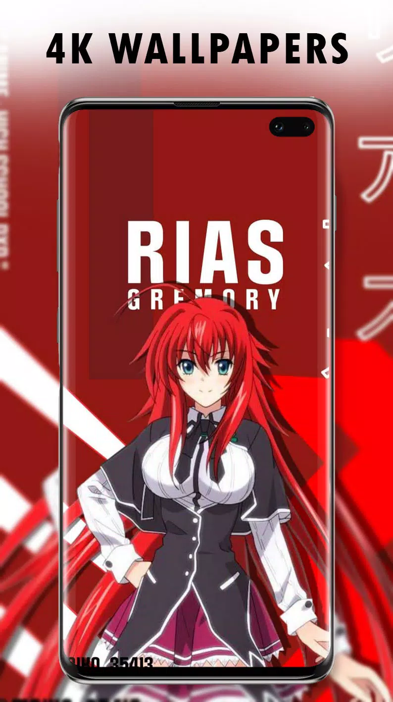 Download High School DxD Characters Wallpaper