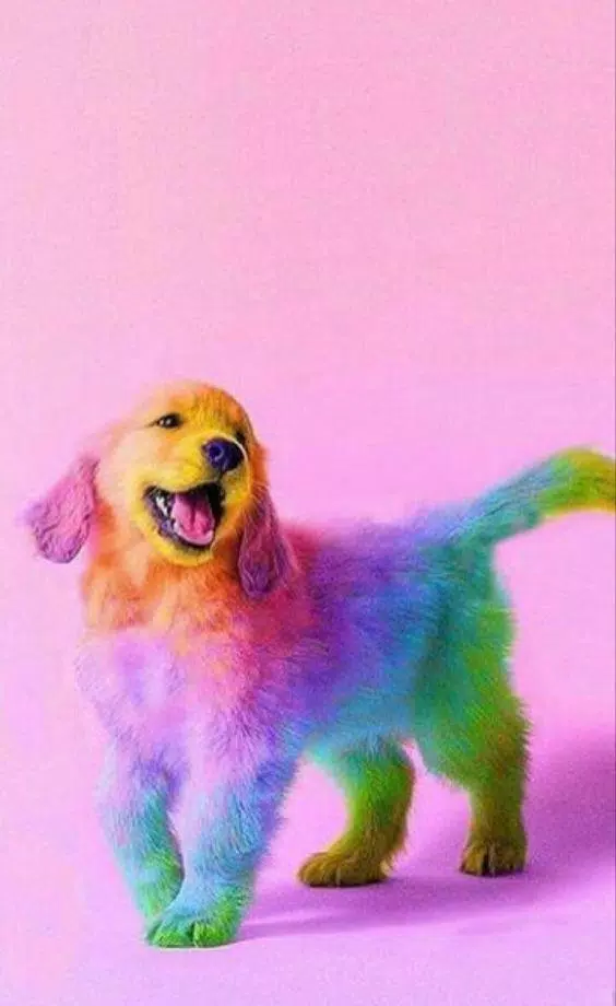 Tải xuống APK Dog wallpapers - Puppy, Pomeranian Wallpapers cho Android Tải xuống APK Dog wallpapers - Puppy, Pomeranian Wallpapers cho Android