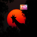 HD WALLPAPERS-Wallpaper-HD-African Wallpapers