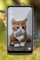 Fofo gatinho wallpaper HD Cartaz