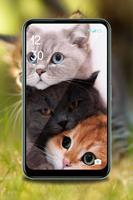 Fofo gatinho wallpaper HD imagem de tela 3