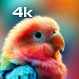 2024 4K-hd wallpapers