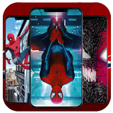 Fond d'écran Spider HD icône
