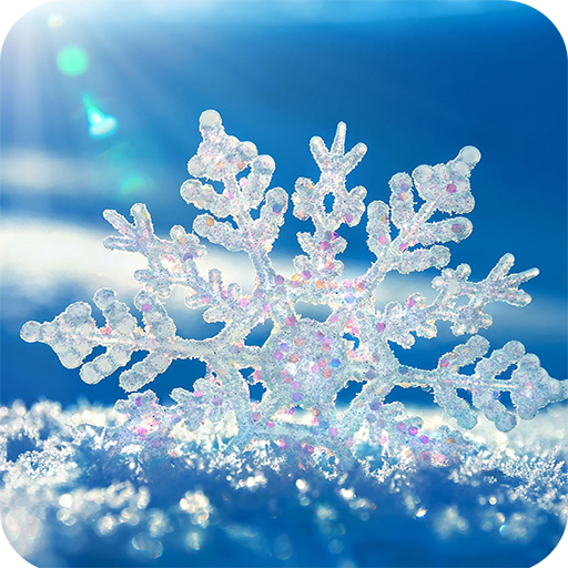 Snow Wallpaper