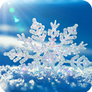 Snow Wallpaper APK