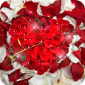 Happy Valentine's Day