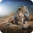Lions HD Wallpaper icône