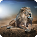 Lions HD Wallpaper 图标