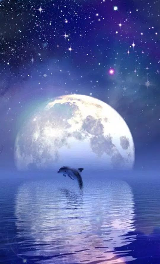 Moonlight Wallpaper APK for Android Download Moonlight Wallpaper APK for Android Download