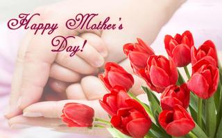 Mother's Day Greeting Cards screenshot 3