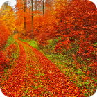 Autumn Wallpaper ikona
