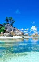 Beach Wallpaper পোস্টার