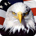 Eagle HD Wallpaper