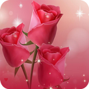 Rose Wallpaper APK