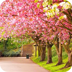 Spring Wallpaper APK download