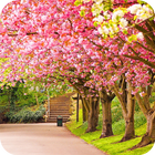 آیکون‌ Spring Wallpaper