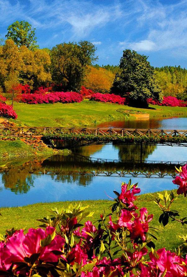 Spring Wallpaper for Android - APK Download