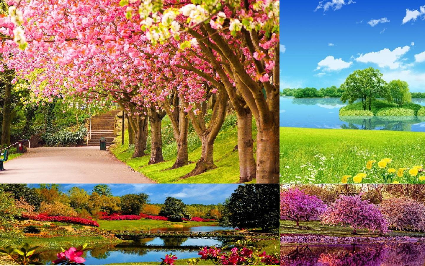 Spring Wallpaper APK for Android – Download Spring Wallpaper APK Latest Version from Spring Wallpaper APK for Android – Download Spring Wallpaper APK Latest Version from