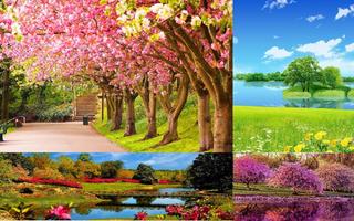 3 Schermata Spring Wallpaper