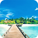 Summer Wallpaper APK