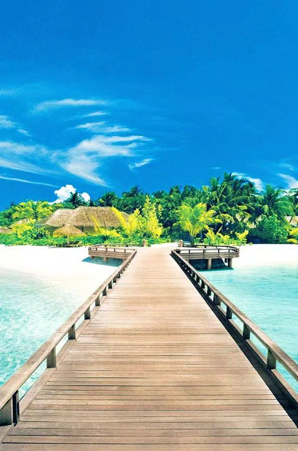 Android向けのsummer Wallpaper Apkをダウンロードしましょう