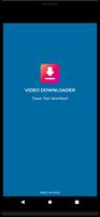 Video Downloader โปสเตอร์