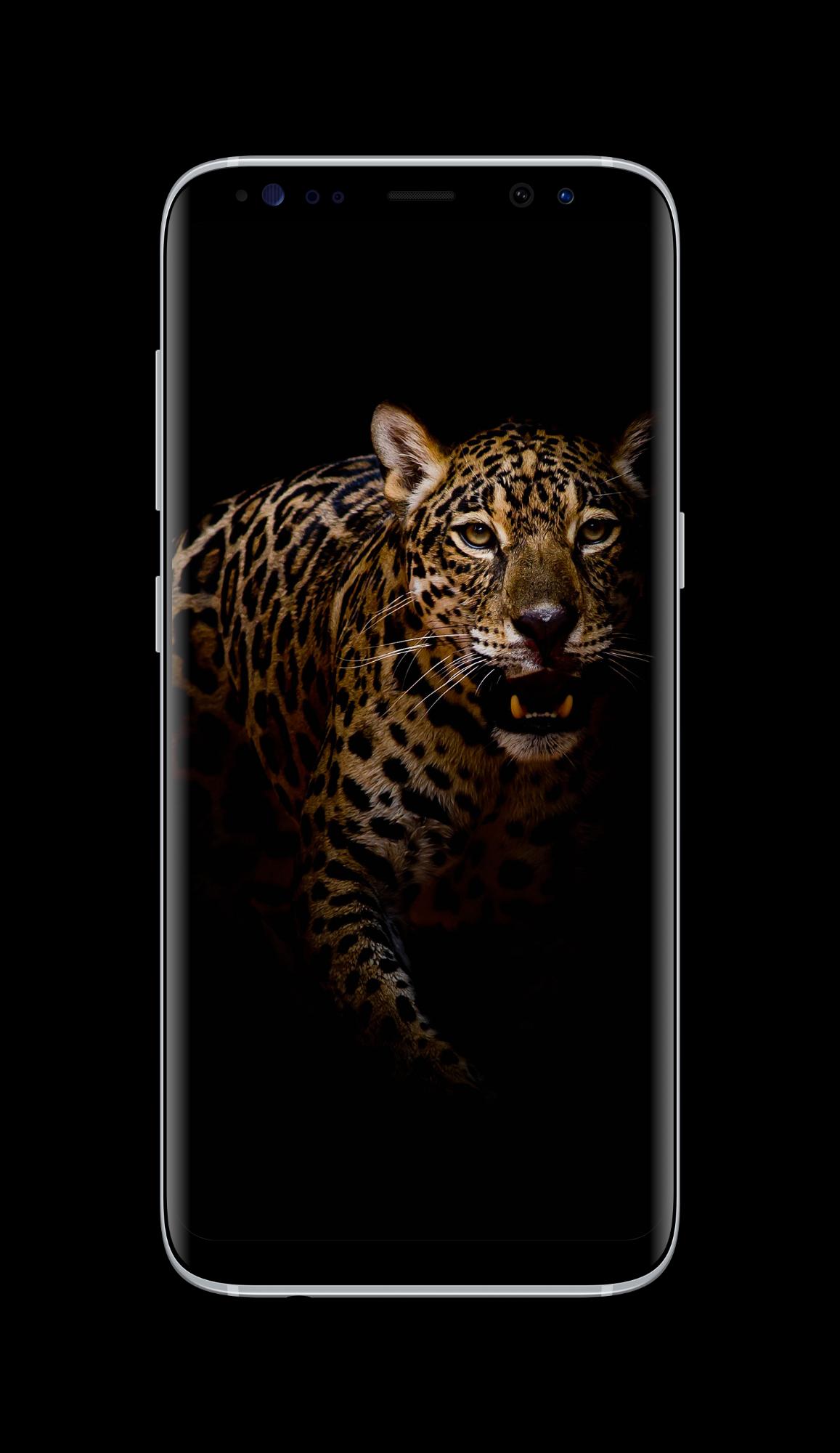  Black  Wallpaper  4K Dark  AMOLED  Backgrounds  HD for 