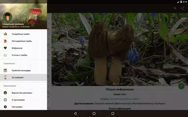 Скачать Справочник грибника APK