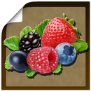 Справочник ягод APK