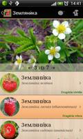 Справочник ягод screenshot 1