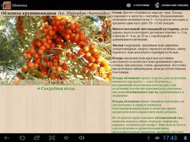 Справочник ягод captura de pantalla 2