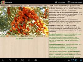 Справочник ягод screenshot 2