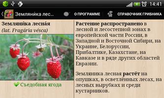 Справочник ягод captura de pantalla 3