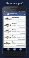 Справочник рыбака Affiche