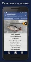 Справочник рыбака capture d'écran 1