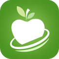 Healthy Food Recipes