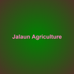 Jalaun Agriculture