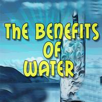 Why Is Water Good For You penulis hantaran